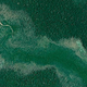 High resolution snapshot of a forest dieoff caused by a logjam in 2009 along the Cubrene River in the Bolivian rainforest. Image: Google Earth